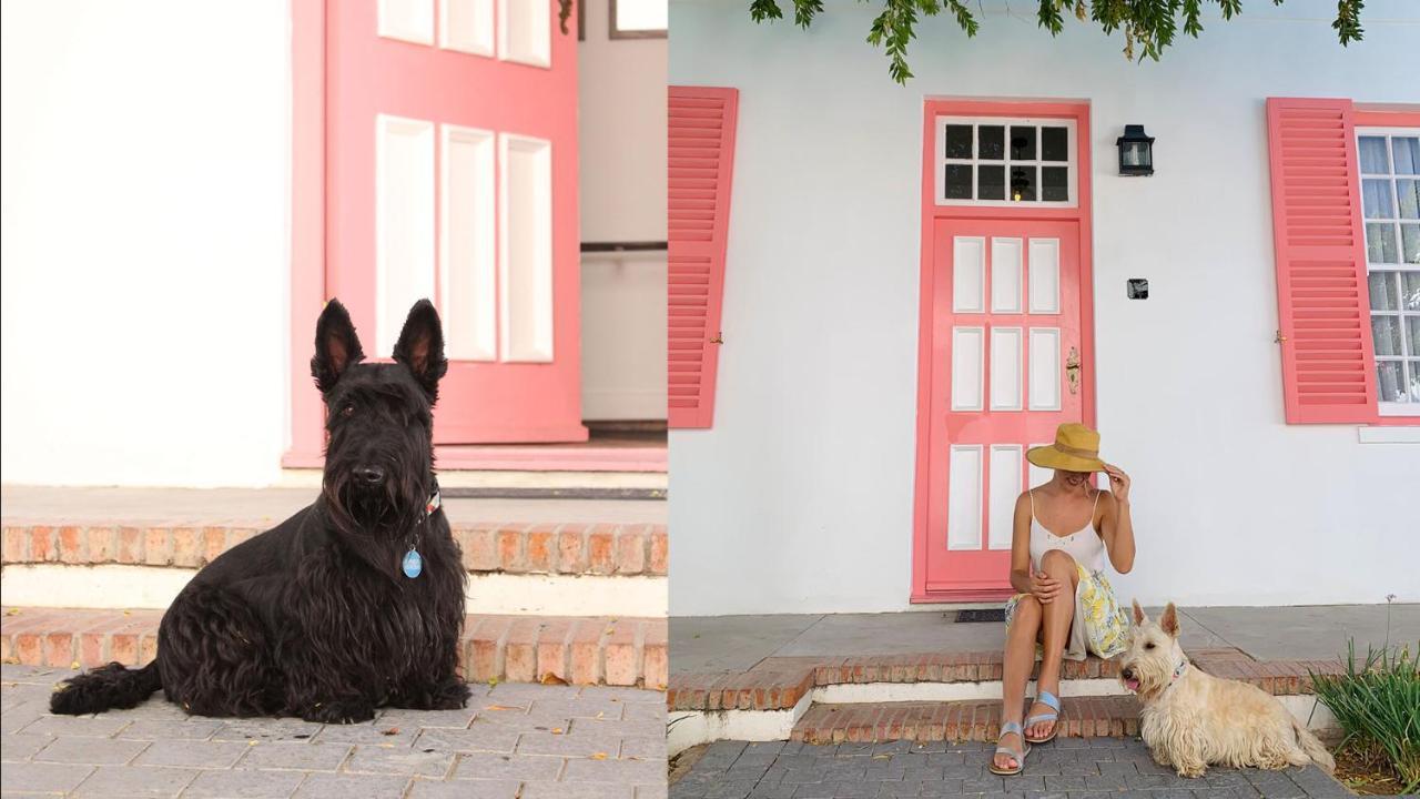 Drostdy Hotel Graaff-Reinet Exterior foto Scottie dogs
